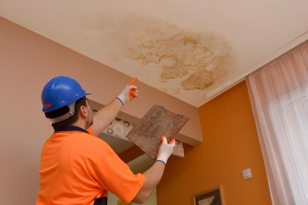 What to Do for Emergency Water Damage and Mold?