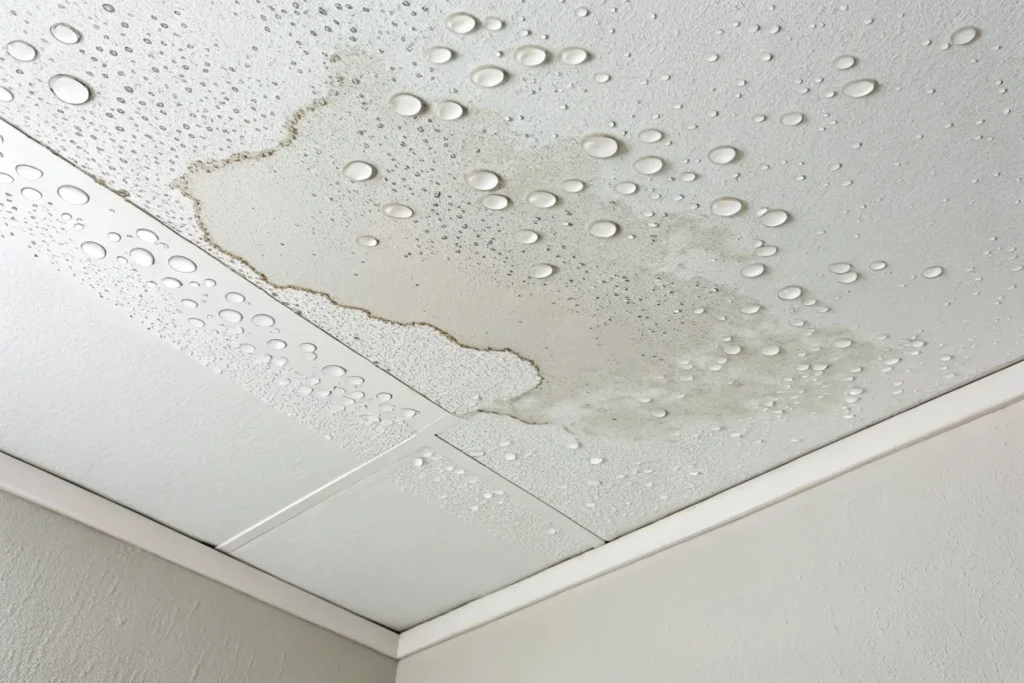 Chandler Water Damage