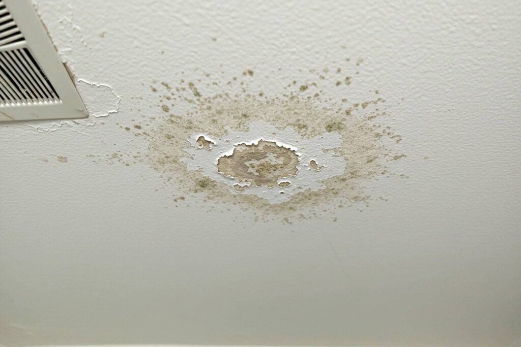 Mastering Mold Removal After Flooding: Effective Techniques