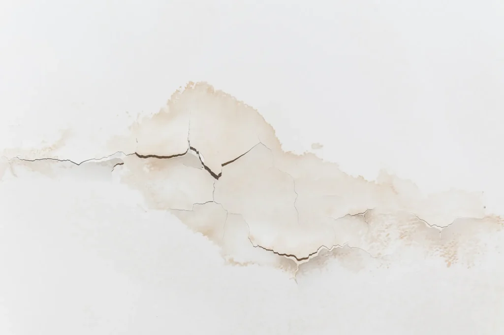 Mold Inspection in Chandler