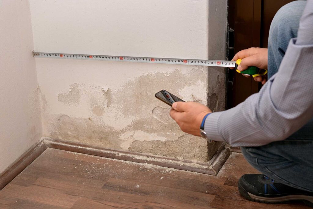 Why Choose Local Mold Remediation Services?