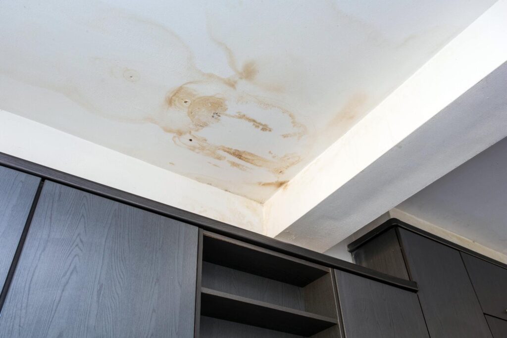 3 Eco-Friendly Mold Removal Tips