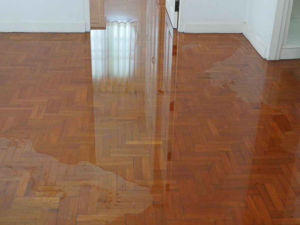 Comprehensive Guide to Flood Damage Repair Process