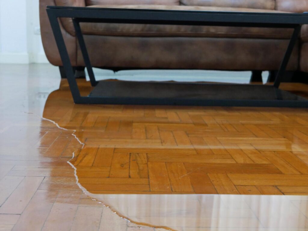 Comprehensive Guide to Flood Damage Repair Process