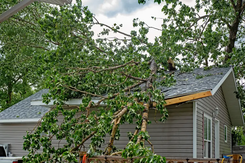 Reliable Storm Damage Restoration