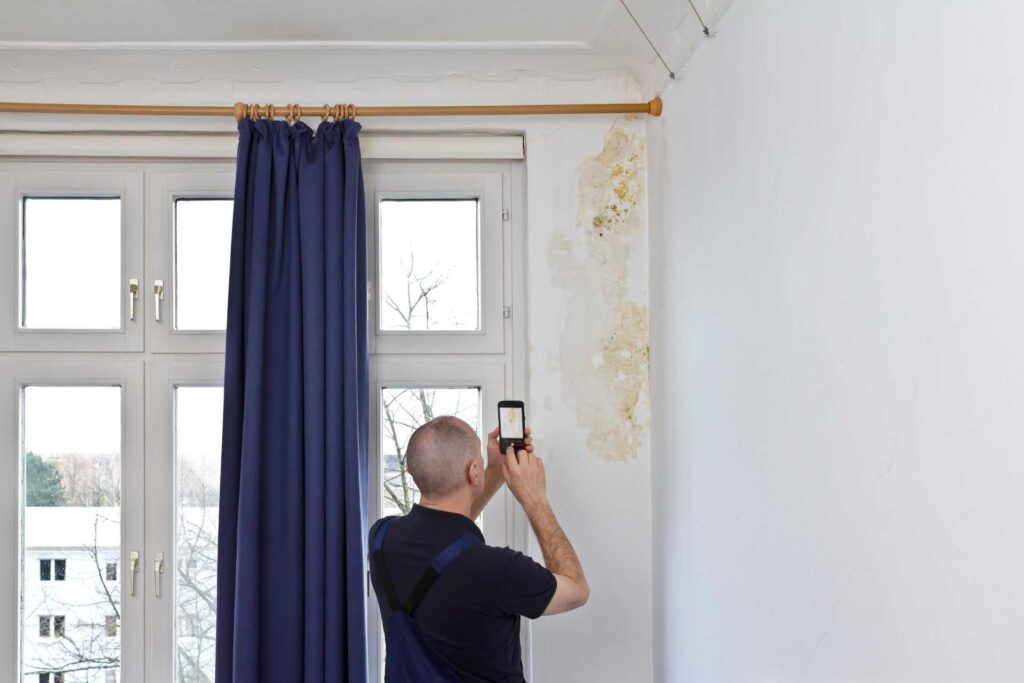 Top Solutions for Emergency Water Damage and Mold Restoration