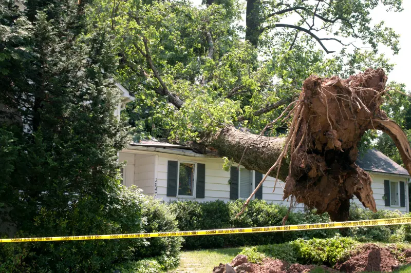 Scottsdale Storm Damage
