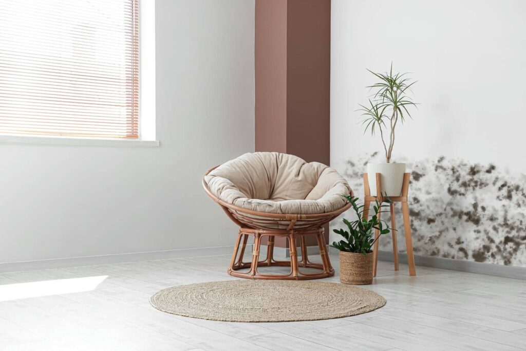 Effective Mold Removal After Flooding: A How-To Guide