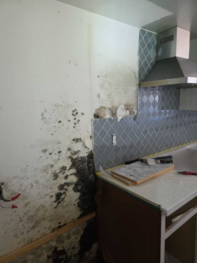 Kitchen Mold Remediation in Chandler, AZ After a Hidden Drain Line Leak