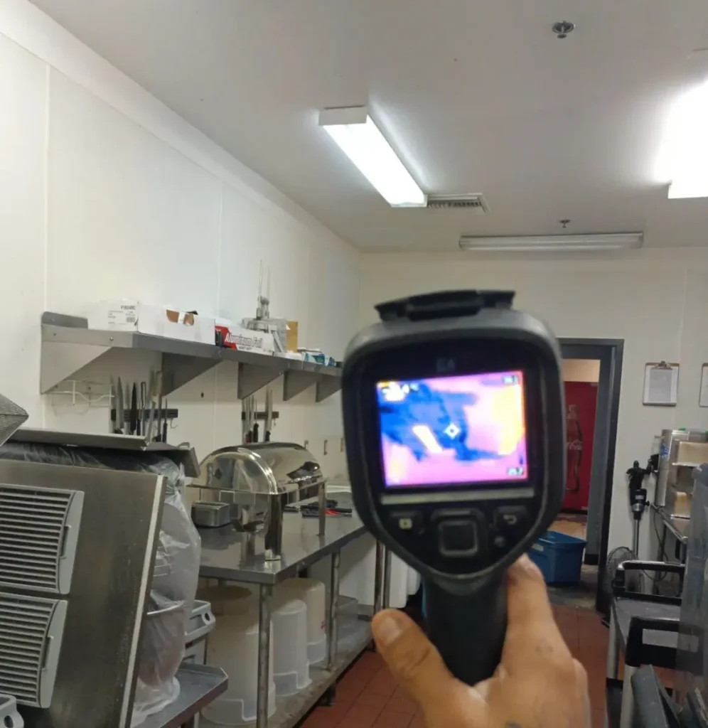 Thermal imaging finding moisture