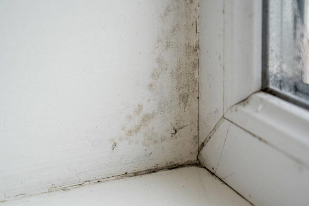 Mold and dirt buildup on a white window frame corner and wall.