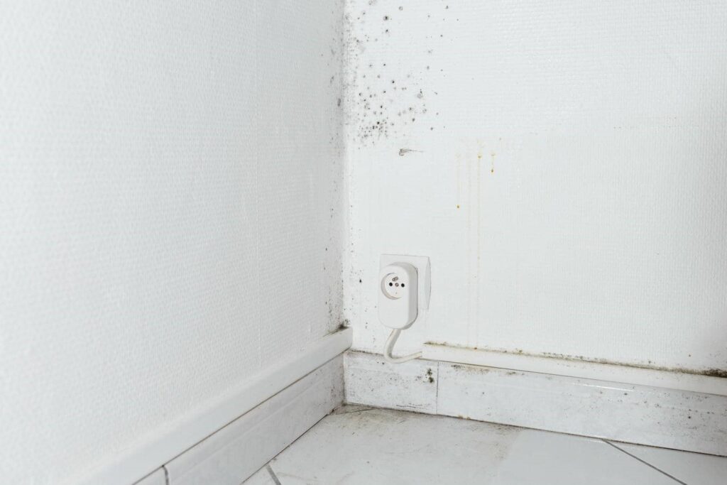 Mold growth on white walls and baseboard near a floor outlet in a corner.