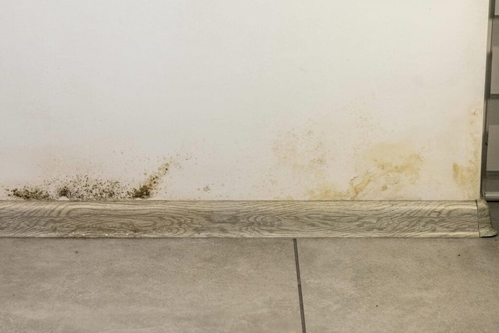 Mold and water stains on a white wall near a baseboard and tiled floor.