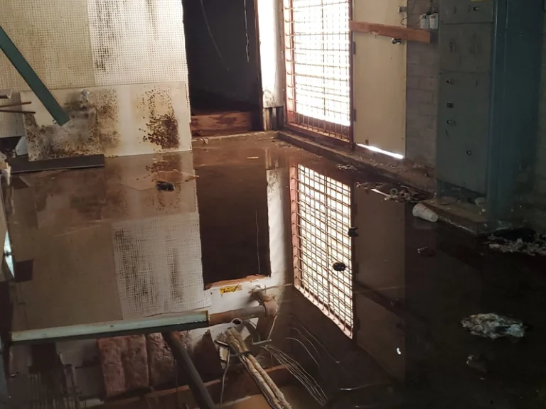 Commercial water damage restoration